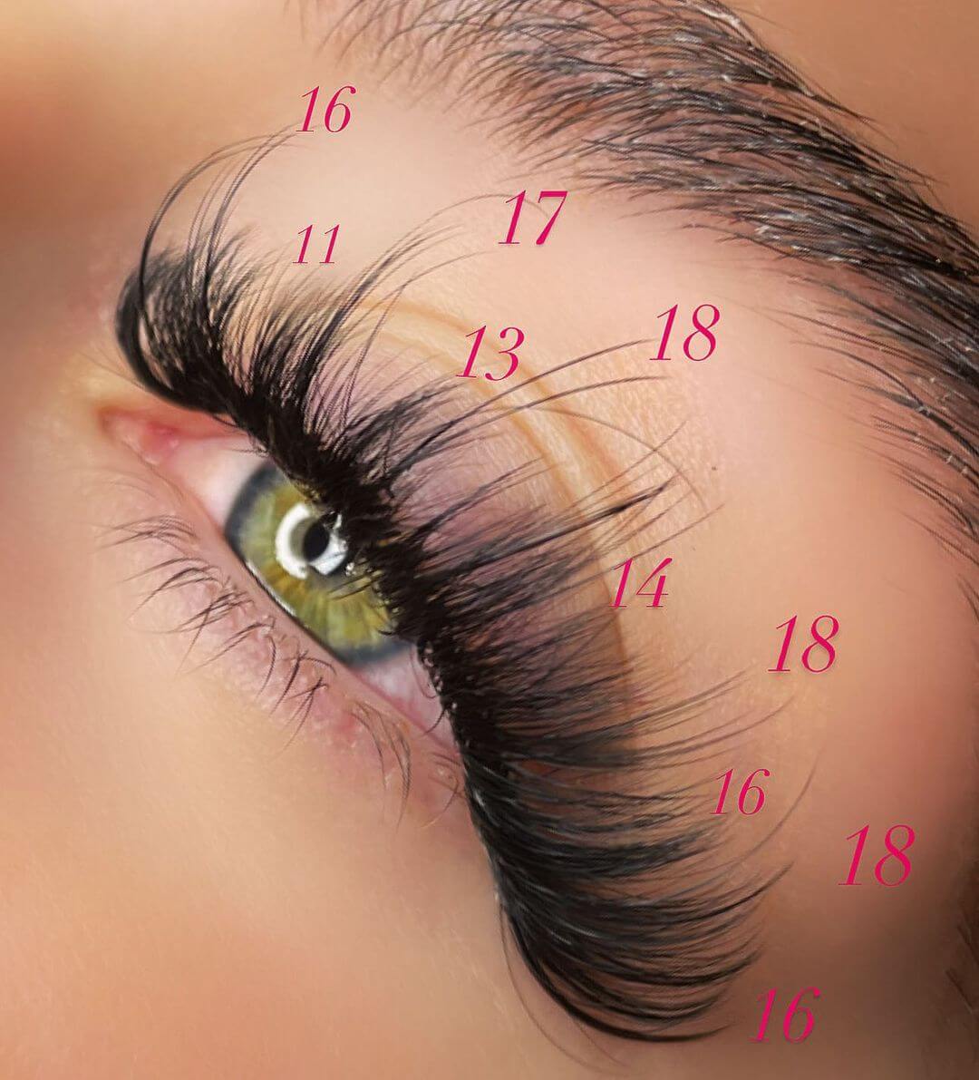 Wispy Cat Eye Lash Map