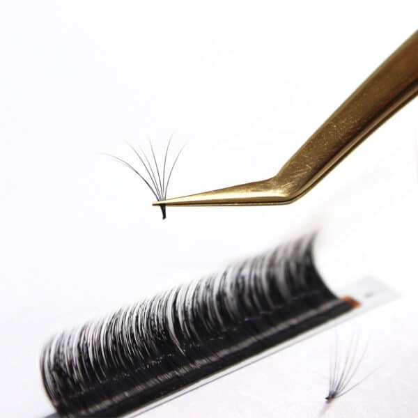 fast fanning lashes