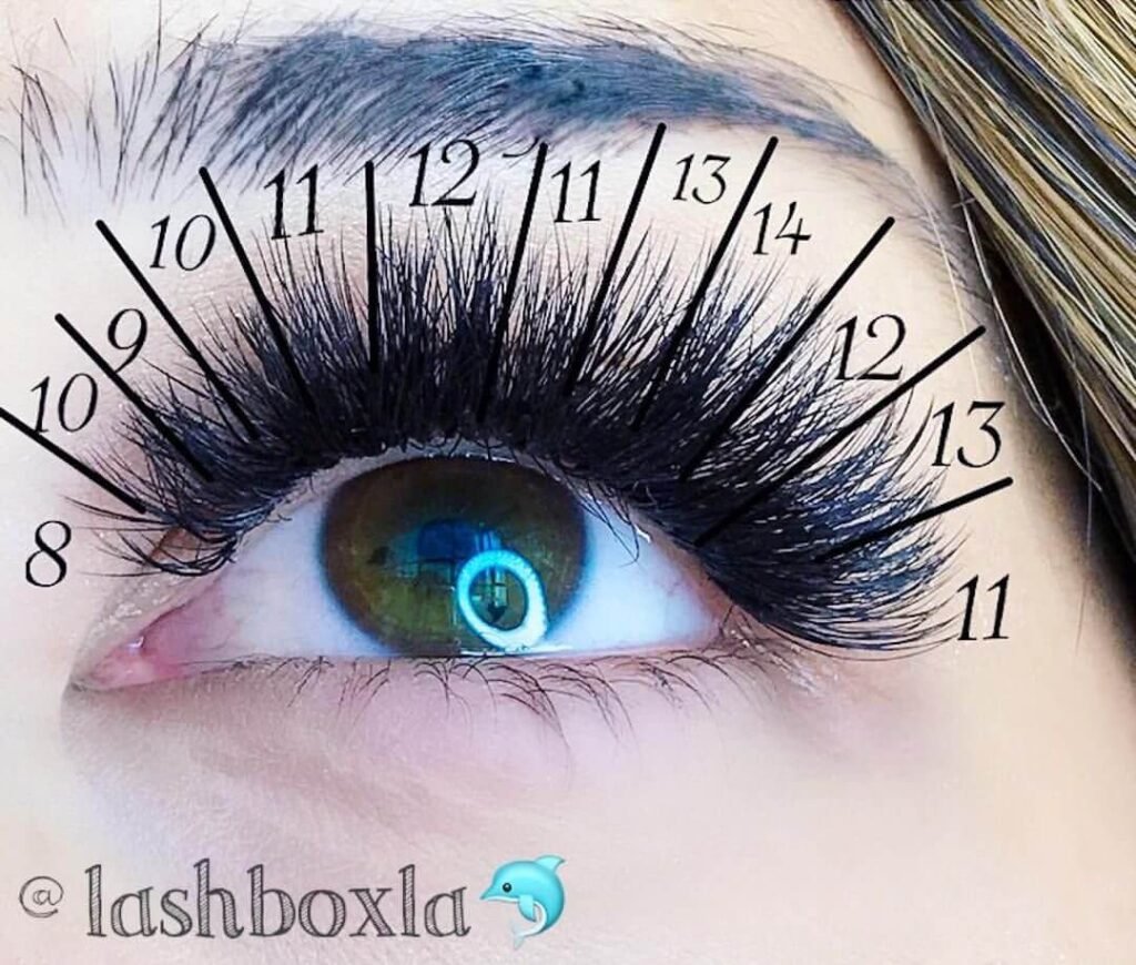 wispy lash extensions map photo from @lashboxla